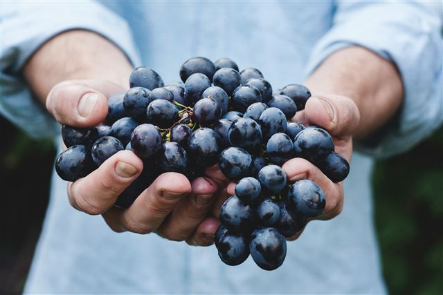 Närbild av vinmiljö som förmedlar varumärkets känsla